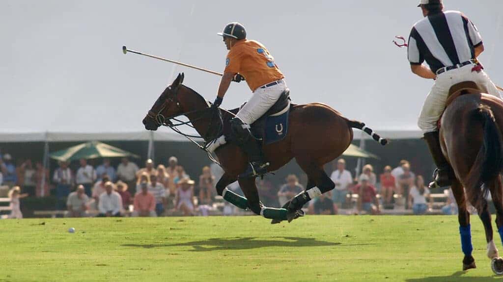 This is polo: an insider’s guide to one of the world’s oldest team sports