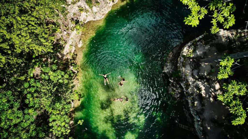 Sun, sand and study: gaining experience through resort internships