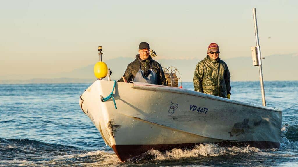 Cook with Stéphane Décotterd – part 2: Swiss shrimps, granola and carrot “sucs”