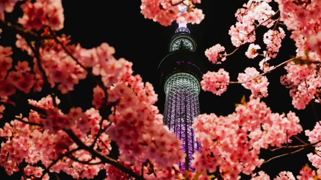 World’s best luxury destinations – #5 Japan’s spring blossom (sakura) season