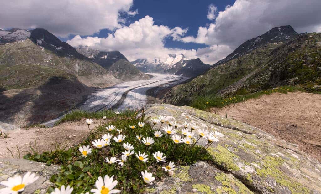 Come and study in the best place in the world!