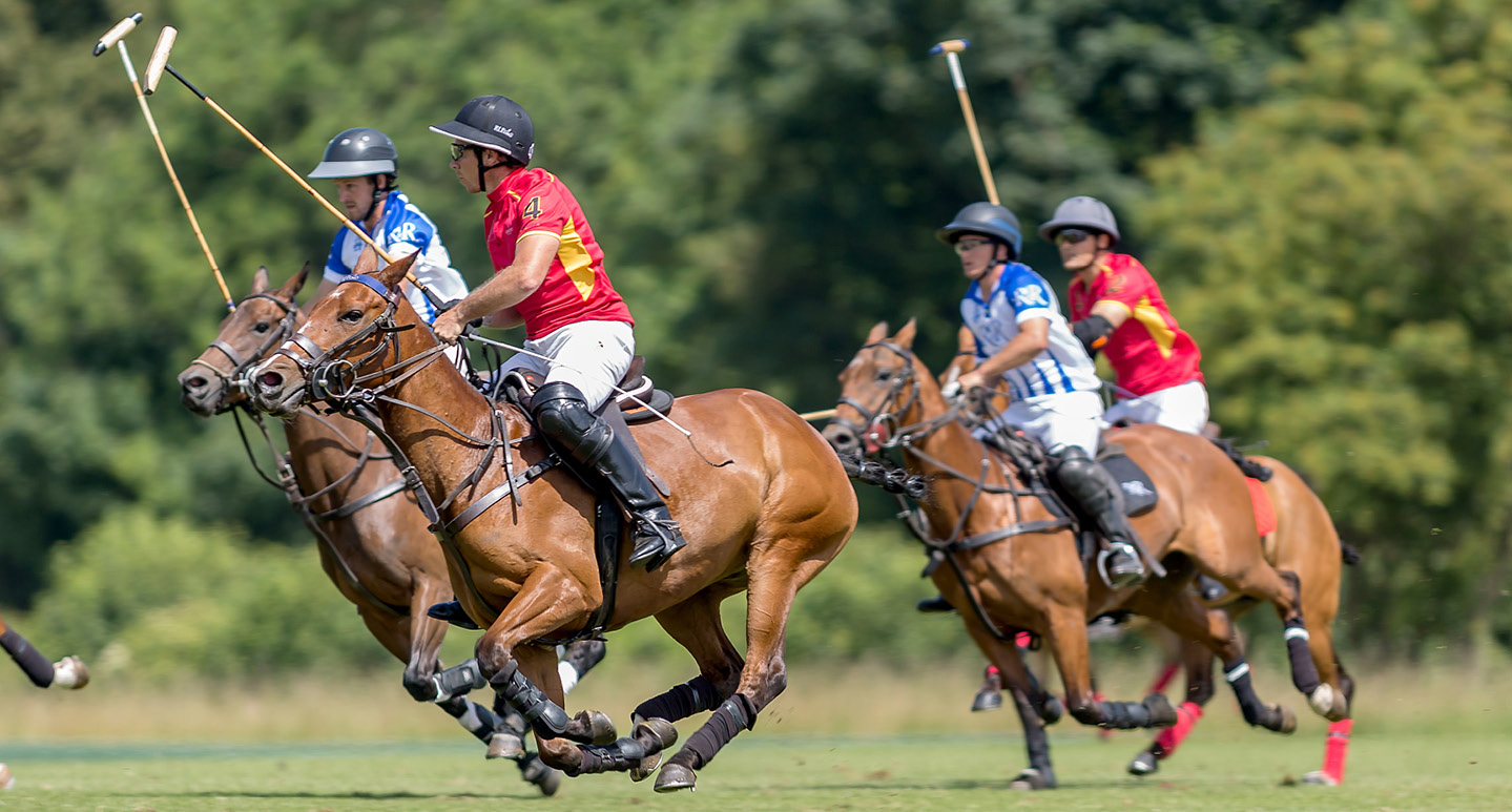 This is polo: an insider's guide to one of the world's oldest team